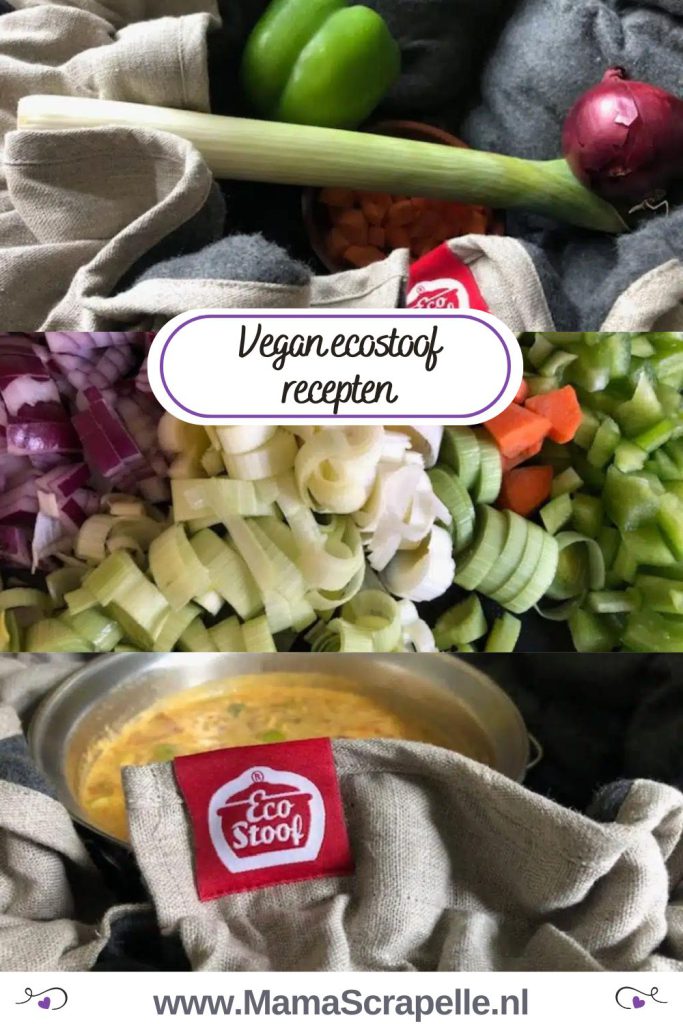 vegan ecostoof recepten