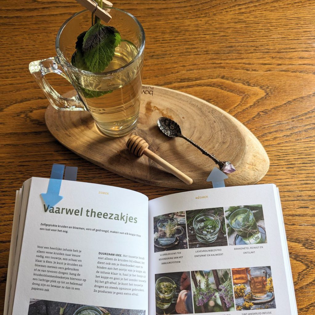 thee zonder zakje Welke planten kun je eten? Welke kun je gebruiken voor knutselen? In creatief met natuur staan tips voor elk seizoen, lees meer in de blog.