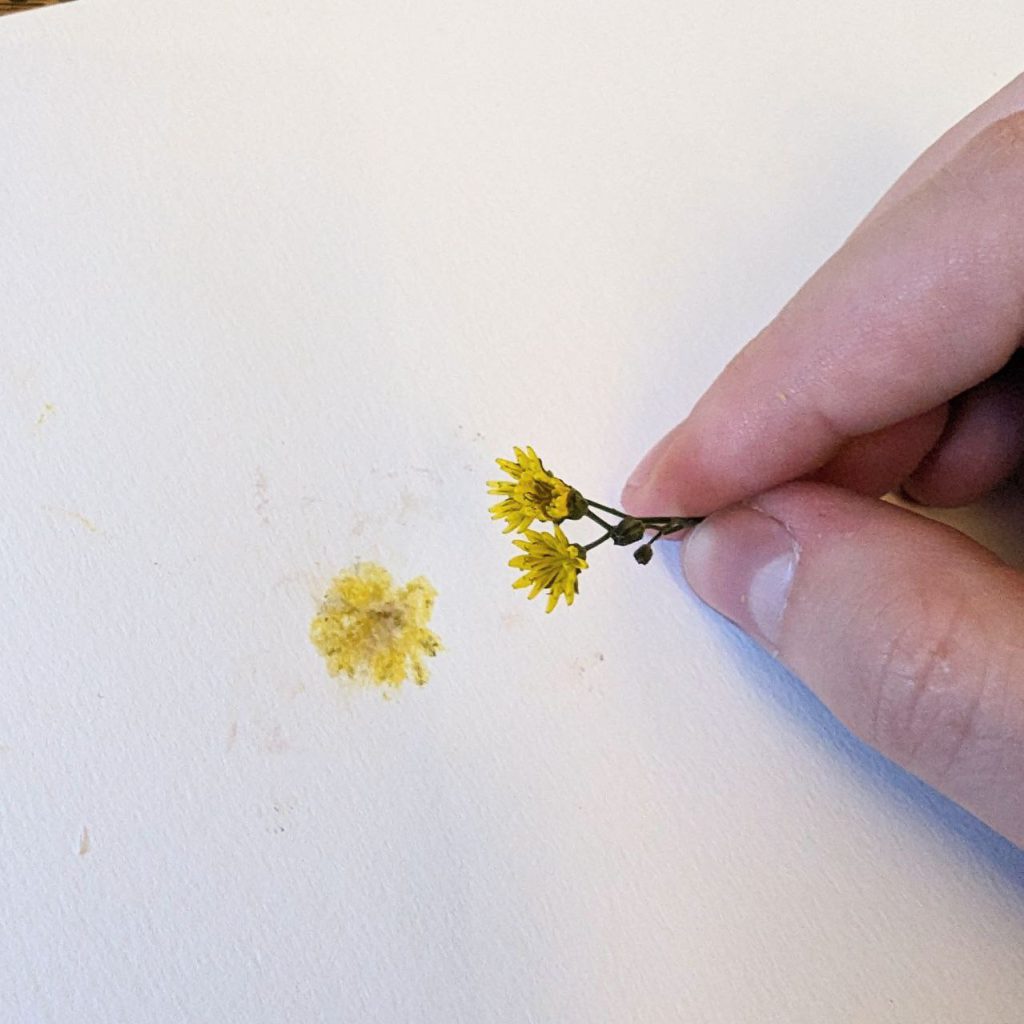 afdruk van een gele bloem, bloemenstempel